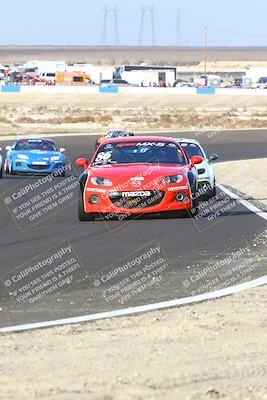 media/Jan-25-2025-CalClub SCCA (Sat) [[03c98a249e]]/Race 4/